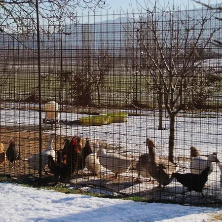 Maison d'hôtes La Campagne Pramaisse